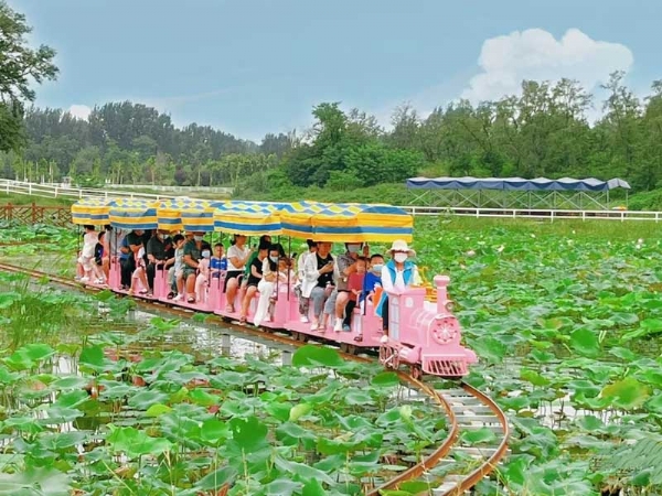機(jī)械動(dòng)力類